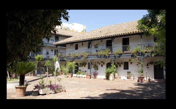 Apartamento En Monumento Historico Nacional Corral Del Conde-Duque De Olivares Seville Exterior photo